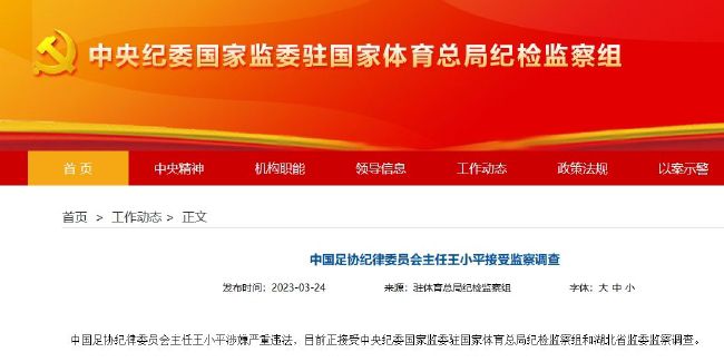 麻豆成人在线视频
