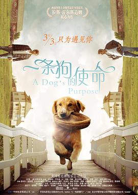 五月天福利视频