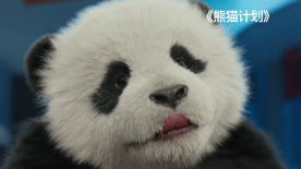 老婆，我错了