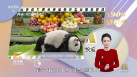 国产精品自拍电影